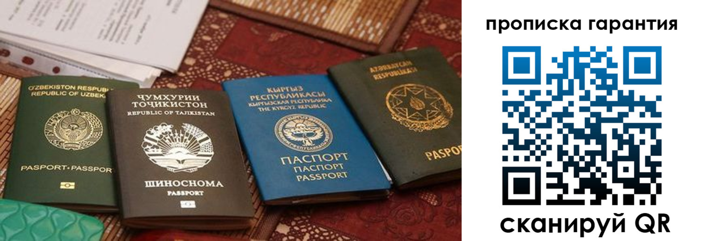 временная регистрация поиск в Долгопрудном