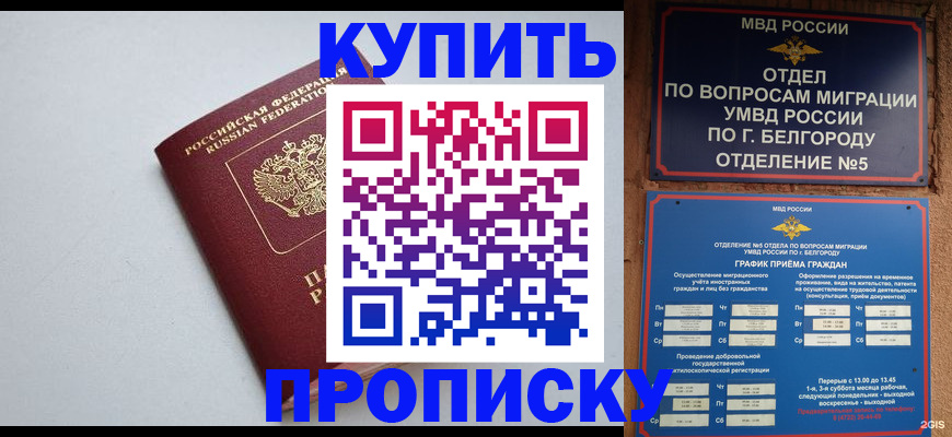 прописка регистрация в Долгопрудном